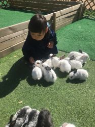 -萌宠亲子动物乐园(槐房万达店)