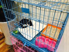 -猫的天空之城概念书店(杭州南宋御街店)