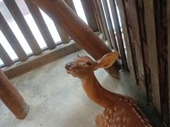 -东方山水乐园山之王国(全室内)