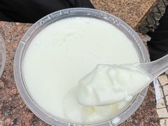 -义顺牛奶公司(新马路老店)