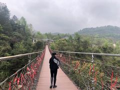 -大余丫山旅游度假区
