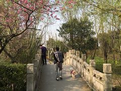 -新江湾城公园