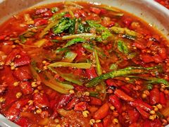 -宏宴·新京菜(望京店)