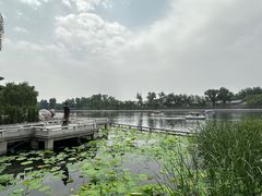 -什刹海