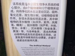 -成都市活水公园