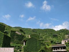 -枸杞岛