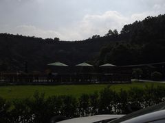 -枫露马术学院(藏书校区)