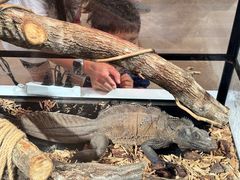 -上海昆虫博物馆