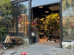 -自由生长植物工作室(深港花卉中心店)