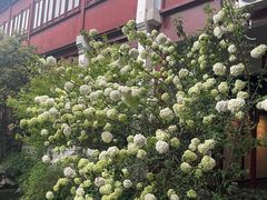 -祝家花園(伯渎港店)
