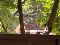 -大连金石滩绿发温泉假日酒店