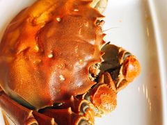 军山湖三两母蟹-都市阳光海鲜城(青山湖店)