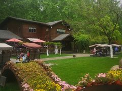 -合肥滨湖国家森林公园