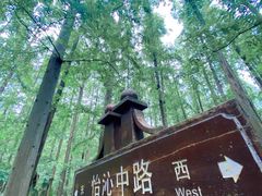 -上海怡沁园度假酒店