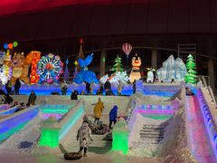 -沈阳奥体冰雪嘉年华
