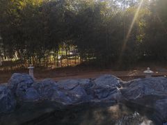 -和园景逸大酒店朗月汤泉