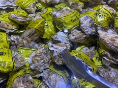 -聚盛源蒸汽海鲜火锅烤肉自助(巨川金海岸购物广场店)