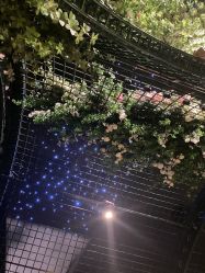 -格乐利雅婚礼艺术中心(南外滩店)