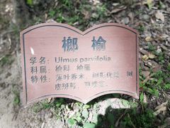 -上海佘山国家森林公园天马山园