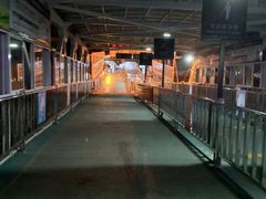 -武汉关码头(轮渡站)