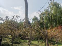-自然谷恐龙园