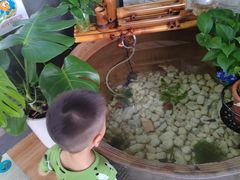 -813芭依珊 BAESAn(皇冠十畝地店)