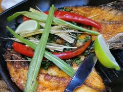 -云海肴·汽锅鸡·云南代表菜(天津国金汇店)