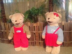 -济州岛泰迪熊博物馆