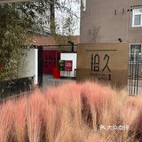 米其林一星鱼头打卡✨