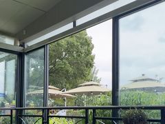 -蘇河湾·新鲁菜·泰山宴(泰山店)