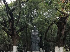 -八大山人梅湖景区