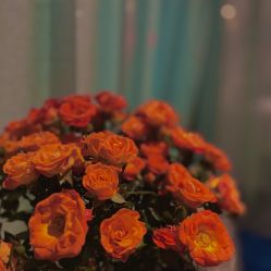 -琦品高端美容SPA私佳美场