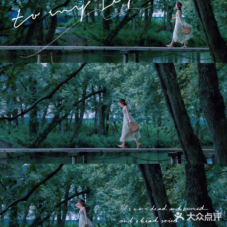 『黄山』闯入绿野仙踪🍃奇幻森林，赴一场仙境之约