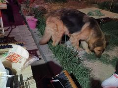 -老三烧烤(二环西路店)