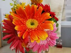 -迎燕阁烤羊腿(二环南路店)