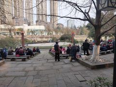 -成都市活水公园