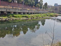 -生宇山珍野生菌汤锅•始于2002(双流古塔店)