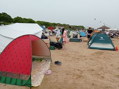 -碧海金沙