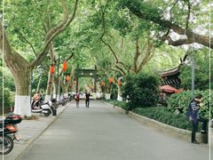 -杭州黄龙洞