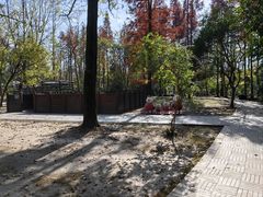 -溱湖国家湿地公园