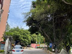 -南岗山公园