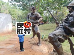 -临高角