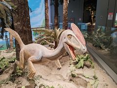 -辽宁古生物博物馆