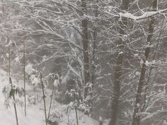 -太阳湾风景区