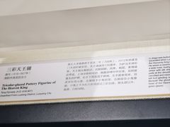 -隋唐大运河文化博物馆