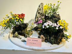 -汇龙潭