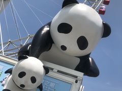 -天津之眼摩天轮