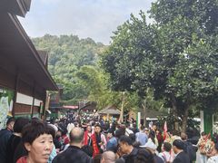 -野象谷景区