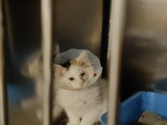 -康乐宝动物医院