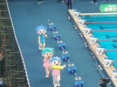 -奥体中心游泳馆